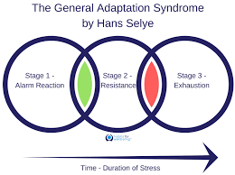The Second Phase Of The General Adaptation Syndrome Gas Is Characterized By Learn Lif Co Id