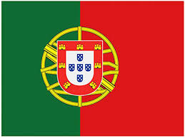 Nederland voetbal uniform voetbal jersey quick dry voetbal shirt voetbal uniform ademend voetbal slijtage voetbal jersey. Vlag Portugal 90 X 150 Cm Megatip Be