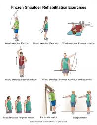 Frozen Shoulder Exercises How Fast Will They Work Shoulder Rehab Exercises Frozen Shoulder Exercises Shoulder Rehab