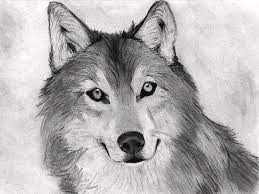 Check spelling or type a new query. Easy Sketches With Charcoal Pencil Drawing Animals Drawing By Heshan Dakshina
