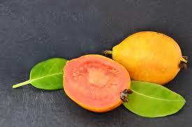 Image result for Psidium guajava