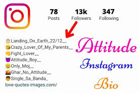 It should be short, it should be appealing, you should sell something…. 1000 Attitude Instagram Bio For Boys 2021 Cool Instagram Bio For Boys Hindi English Love Quotes Images