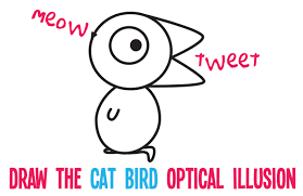 Check spelling or type a new query. How To Draw The Is It A Cat Or Is It A Bird Optical Illusion With Easy Step By Step Drawing Tutorial For Kids How To Draw Step By Step Drawing