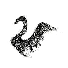 189 365 Black Swan A Quick One Today As Im Heading Out Later Ayearofsketching Draw Sketch Inkdrawing Swan Swan Drawing Swans Art Bts Drawings