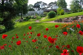 Explore quality paysages pictures, illustrations from top photographers. Paysages Cadre De Vie Espaces Verts Votre Avenir Vegetal