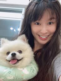 Deciding to make your own dog food at home brings excitement and challenge at the same time. Taoyuan City Best Pet Boarding Grooming For Dogs Cats With Pickup Petbacker Taoyuan