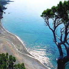 Στο αυτό το τμήμα της ιστοσελίδας μας μπορείτε να ενημερώνεστε για τα τελευταία νέα από γενικό προξενείο στουτγάρδης, να μάθετε για τις παρεχόμενες υπηρεσίες, να διαβάσετε για το γενικό πρόξενο και το προσωπικό της. Agia Fwtia Agia Fotia Beach Beach In Ayia Fothia