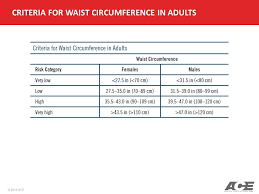 ace personal trainer manual ppt video online download