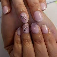 Absolutely Polished Nail Salon Blenheim Nail Salon In Blenheim