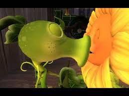 She emits sun, in order for the player to place plants on the lawn. Peashooter X Sunflower Halo Youtube