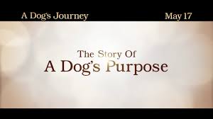 Abby ryder fortson, angela narth, arlene duncan and others. A Dog S Journey Universal Pictures