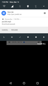 pause, resume and cancel downloads