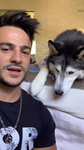 Telling My Husky She Is Not allowed To Have a Boyfriend 👀😳