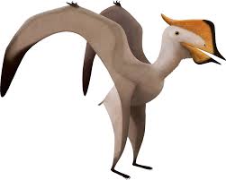 Image result for Sinopteridaceae