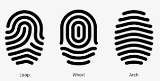See more ideas about activities, summer camp activities, activities for kids. Forensic Fingerprints Activity Csi Science Project