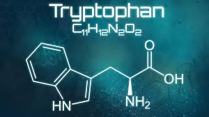 Wahrscheinlich noch nicht, dabei ist die aminosäure extrem wichtig für dein wohlbefinden. Gesundheitslexikon Tryptophan
