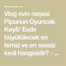 ikizlerim panosundaki pin