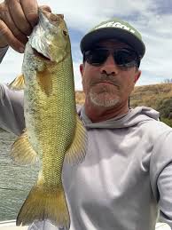 Cannon 10a magnum downrigger boom setup