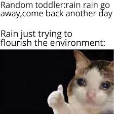 We did not find results for: Rain Understandable Have A Great Day 9gag