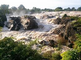 Profile for Gerald Decorte