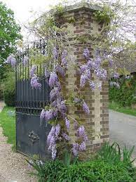 Nz House And Garden My French Country Home French Country Garden Garden Gates