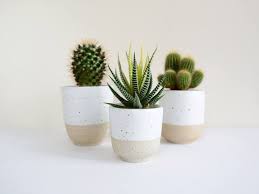 The amazing thing about these pots is that you can put any sort of. Set Of 3 Ceramic Planters Saucers White Quail Plant Pot For Succulent And Cactus Plant Holder In 2020 Small Potted Plants Cactus Plant Pots Small Cactus Plants