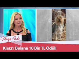 Kiraz I Bulana 10 Bin Tl Odul Verilecek Muge Anli Ile Tatli Sert 7 Eylul 2020 Youtube