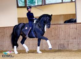 This makes her a fitting match for the brand. Aubenhausen Wo Traume Wahr Werden Equestrian Worldwide Pferdesport Weltweit Eqwo Net