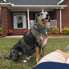 Alex Pretti was 37 years old when his life was suddenly taken, but the part  of him that people remember most is not how his life ended — it is how  deeply