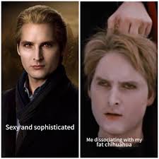 The vibes I want to bring to the function vs the vibes I actually bring.