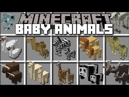 Apr 08, 2017 · minecraft zoo animal mod / lots of animals in a zoo and bring them to life!! Minecraft Baby Animal Mod Play With Baby Mobs And See Them Grow Minecraft Youtube Minecraft Wolf Minecraft Minecraft Baby
