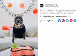 Tiktok has a slideshow template where you can add a photo montage instead of a video. How To Make A Slideshow In Tik Tok 19 Ideas And Examples Smm Promotion