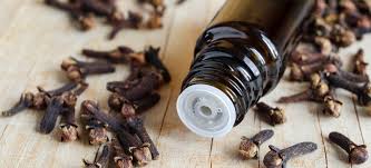 Clove Oil Benefits for Toothache, Candida and More - Dr. Axe