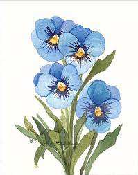 Blue Pansies Watercolor Garden Reproduction In 2021 Plant Drawing Pansies Flower Painting