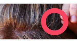 Graue Haare 3 Grunde Warum Du Sie Nicht Farben Solltest Utopia De