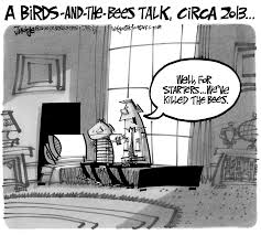 District restores elementary PE