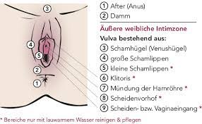 Die bakterien wandern entlang des haarbalgs unter die haut. Alles Uber Den Intimbereich