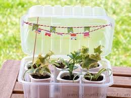 Cómo hacer un Invernadero Casero - DIY: Make a Homemade Greenhouse ...