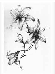Beautiful Black And White Lily Lily Flower Tattoos Tattoo Templates Lily Tattoo
