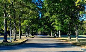 2014 sds properties llc 1784 taliaferro tr., ste. Alabama Shakespeare Festival Alabama Birding Trails