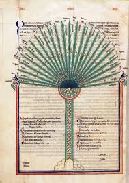 The Book Of Trees 800 Years Of Symbolic Diagrams Visualizing Human Knowledge Best Science Books Visual Metaphor Tree Of Life Art