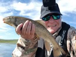 Kokanee fishing tips for beginners