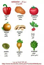 Vegetables In Turkish Turkish Language Learn Turkish Learn Turkish Language
