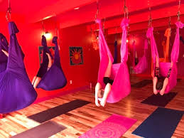 Twisted root yoga and wellness. Home Page