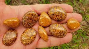 Coquina Jasper Script Stones New Update 2022 Great Video