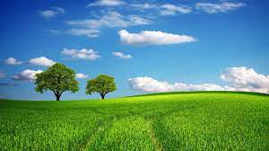 Summer Pictures Desktop Cool Pictures Of Nature Green Landscape Beautiful Nature Pictures