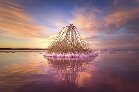 Lake Tyrrell Melbourne Attractions Pink Lake Lake