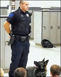 Maybe you would like to learn more about one of these? K9 Kane Bloomingdale Illinois Memorials To Fallen K 9 S
