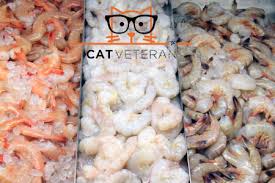 Unfortunately, giving cats spicy foods can potentially make them seriously ill. Can Cats Eat Shrimp Do They Prefer Cooked Or Raw