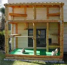 12 Kreasi Desain Kandang Ayam Dari Besi Desain Rumah Kucing Dari Kayu Wall Ppx Kandangayammudah Kandangayamsuper Kandangayammod Kandang Ayam Desain Modern